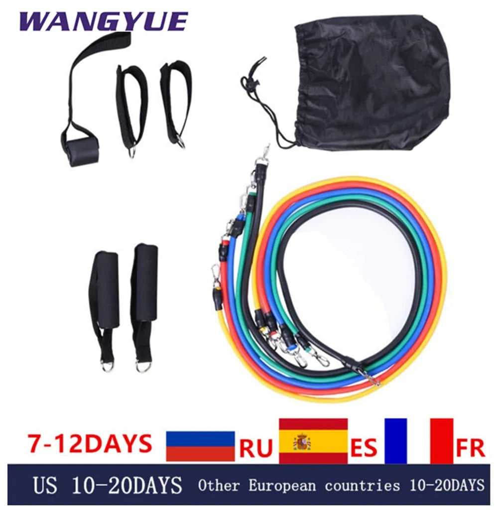 17-Piece Latex Resistance Bands Set for Crossfit, Yoga, and Fitness - PowerFuelHQ