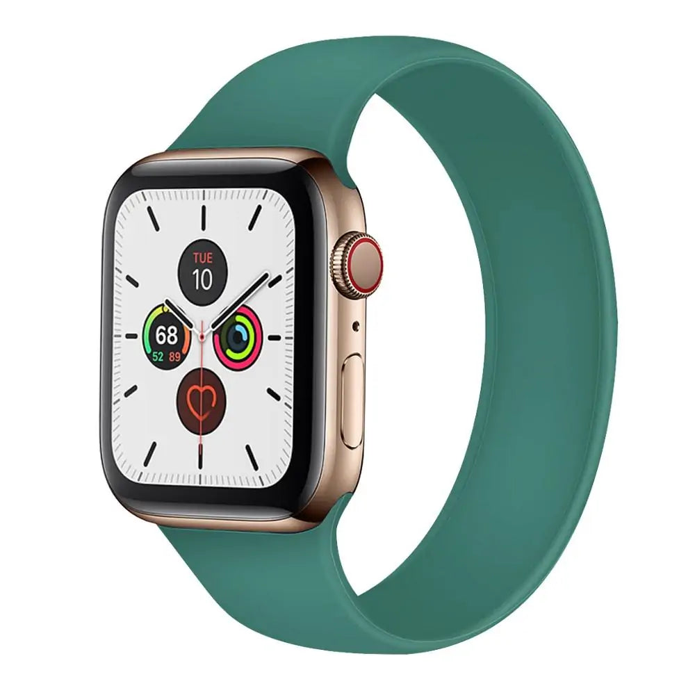 Apple Watch 5 Bands