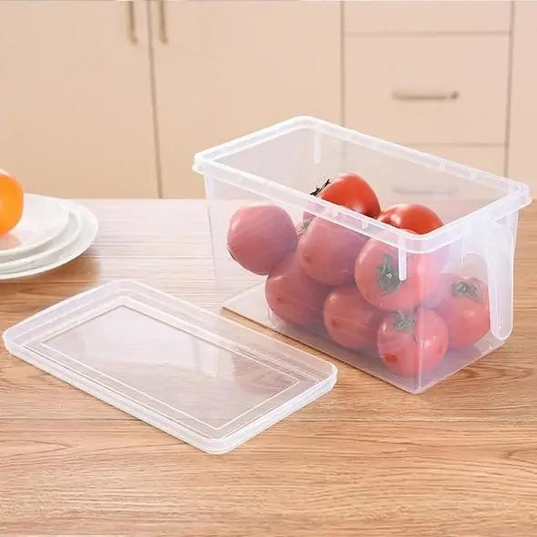 Anti-Bacterial Food Storage Bins